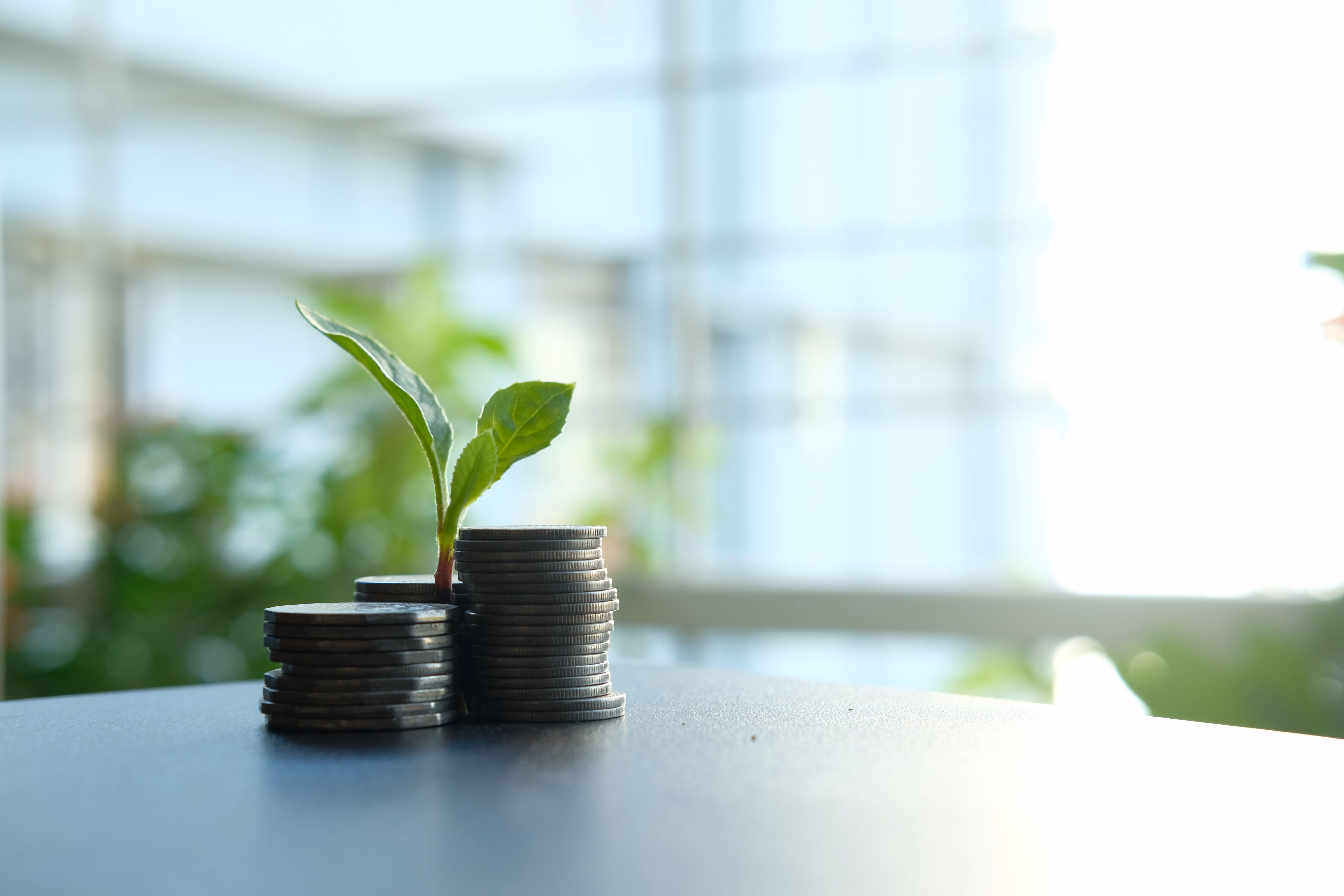 A small plant sprouting from stacked coins, symbolizing financial growth